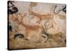 20,000 Year Old Lascaux Cave Painting Done by Cro-Magnon Man in the Dordogne Region, France-Ralph Morse-Stretched Canvas