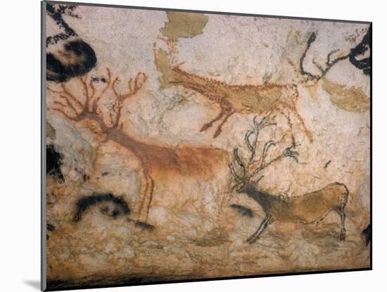20,000 Year Old Lascaux Cave Painting Done by Cro-Magnon Man in the Dordogne Region, France-Ralph Morse-Mounted Photographic Print