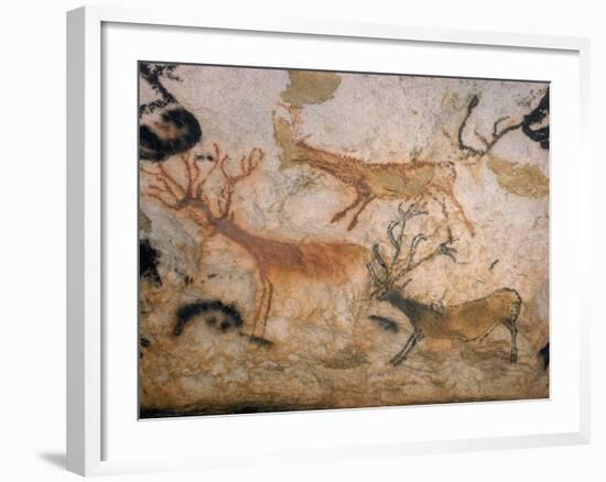 20,000 Year Old Lascaux Cave Painting Done by Cro-Magnon Man in the Dordogne Region, France-Ralph Morse-Framed Photographic Print