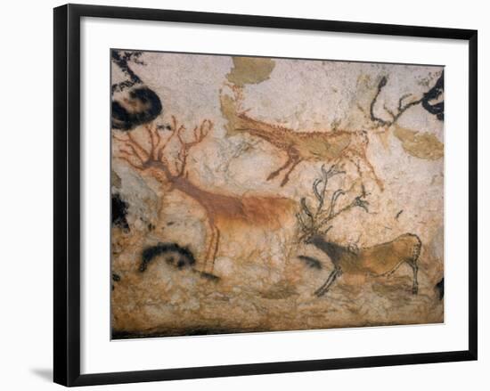 20,000 Year Old Lascaux Cave Painting Done by Cro-Magnon Man in the Dordogne Region, France-Ralph Morse-Framed Photographic Print