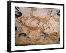 20,000 Year Old Lascaux Cave Painting Done by Cro-Magnon Man in the Dordogne Region, France-Ralph Morse-Framed Photographic Print