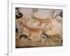 20,000 Year Old Lascaux Cave Painting Done by Cro-Magnon Man in the Dordogne Region, France-Ralph Morse-Framed Photographic Print