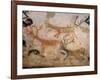 20,000 Year Old Lascaux Cave Painting Done by Cro-Magnon Man in the Dordogne Region, France-Ralph Morse-Framed Photographic Print