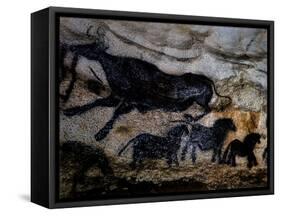 20,000 Year Old Lascaux Cave Painting Done by Cro-Magnon Man in the Dordogne Region, France-Ralph Morse-Framed Stretched Canvas