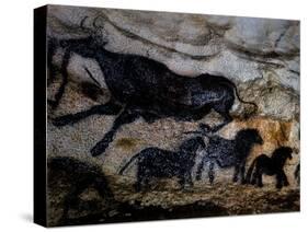 20,000 Year Old Lascaux Cave Painting Done by Cro-Magnon Man in the Dordogne Region, France-Ralph Morse-Stretched Canvas