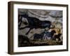 20,000 Year Old Lascaux Cave Painting Done by Cro-Magnon Man in the Dordogne Region, France-Ralph Morse-Framed Premium Photographic Print