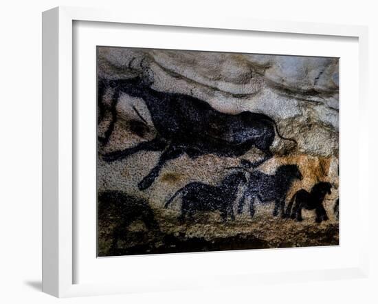 20,000 Year Old Lascaux Cave Painting Done by Cro-Magnon Man in the Dordogne Region, France-Ralph Morse-Framed Premium Photographic Print