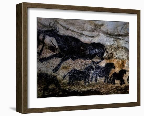 20,000 Year Old Lascaux Cave Painting Done by Cro-Magnon Man in the Dordogne Region, France-Ralph Morse-Framed Photographic Print