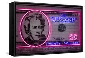 20 Dollars-Octavian Mielu-Framed Stretched Canvas