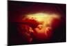 20 Week Old Foetus-Neil Bromhall-Mounted Photographic Print