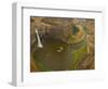 200 Foot High Palouse Falls State Park, Washington, USA-Chuck Haney-Framed Photographic Print