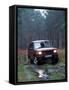 2000 Land Rover Discovery TD5-null-Framed Stretched Canvas