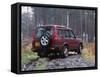 2000 Land Rover Discovery TD5-null-Framed Stretched Canvas