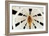 2001: A Space Odyssey Directed by Stanley Kubrick Avec Gary Lockwood-null-Framed Photo