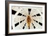2001: A Space Odyssey Directed by Stanley Kubrick Avec Gary Lockwood-null-Framed Photo