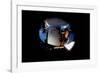 2001: A Space Odyssey, Keir Dullea as Seen Through Hal, 1968-null-Framed Photo