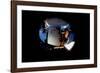 2001: A Space Odyssey, Keir Dullea as Seen Through Hal, 1968-null-Framed Photo