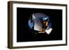 2001: A Space Odyssey, Keir Dullea as Seen Through Hal, 1968-null-Framed Premium Photographic Print