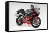 2001 Aprilia RS250-null-Framed Stretched Canvas