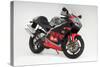 2001 Aprilia RS250-null-Stretched Canvas