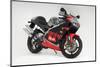 2001 Aprilia RS250-null-Mounted Photographic Print