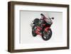 2001 Aprilia RS250-null-Framed Photographic Print