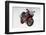 2001 Aprilia RS250-null-Framed Photographic Print