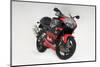 2001 Aprilia RS250-null-Mounted Photographic Print