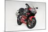 2001 Aprilia RS250-null-Mounted Photographic Print