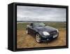 2001 Mercedes Benz SLK 320 AMG-null-Framed Stretched Canvas