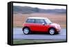 2001 Mini Cooper-null-Framed Stretched Canvas