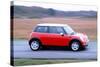 2001 Mini Cooper-null-Stretched Canvas