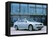2002 BMW 530i-null-Framed Stretched Canvas