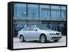 2002 BMW 530i-null-Framed Stretched Canvas