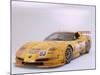 2002 Chevrolet Corvette Le Mans racing car-null-Mounted Photographic Print