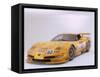 2002 Chevrolet Corvette Le Mans racing car-null-Framed Stretched Canvas