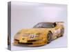 2002 Chevrolet Corvette Le Mans racing car-null-Stretched Canvas