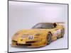 2002 Chevrolet Corvette Le Mans racing car-null-Mounted Photographic Print