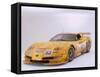 2002 Chevrolet Corvette Le Mans racing car-null-Framed Stretched Canvas