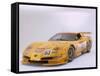 2002 Chevrolet Corvette Le Mans racing car-null-Framed Stretched Canvas