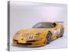 2002 Chevrolet Corvette Le Mans racing car-null-Stretched Canvas