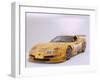 2002 Chevrolet Corvette Le Mans racing car-null-Framed Photographic Print