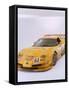 2002 Chevrolet Corvette Le Mans racing car-null-Framed Stretched Canvas