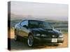 2002 Ford Mustang Bullitt-null-Stretched Canvas