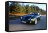 2002 Jaguar XKR convertible-null-Framed Stretched Canvas