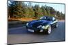 2002 Jaguar XKR convertible-null-Mounted Photographic Print