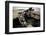 2002 MG TF 160 VVC-null-Framed Photographic Print