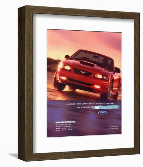 2002 Mustang-No Boundaries-null-Framed Art Print