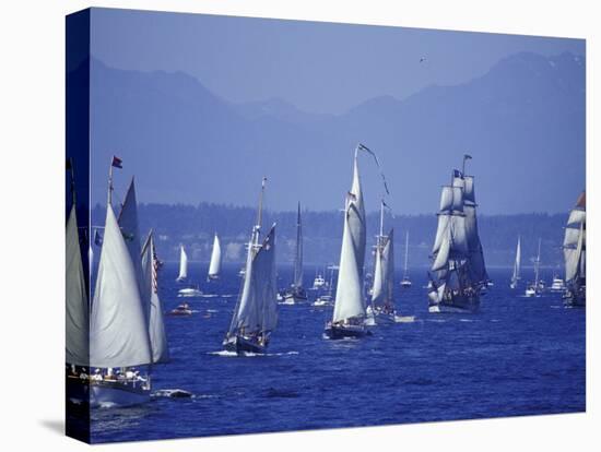 2002 Tall Ships Festival in Elliott Bay, Seattle, Washington, USA-William Sutton-Stretched Canvas