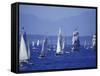 2002 Tall Ships Festival in Elliott Bay, Seattle, Washington, USA-William Sutton-Framed Stretched Canvas